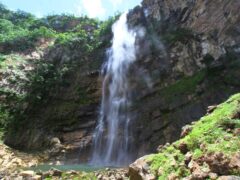 Label - Cachoeira na Chapada dos Veadeiros