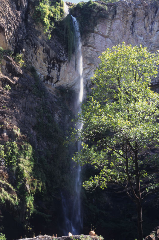 Simão Correia - Cachoeira na Chapada dos Veadeiros