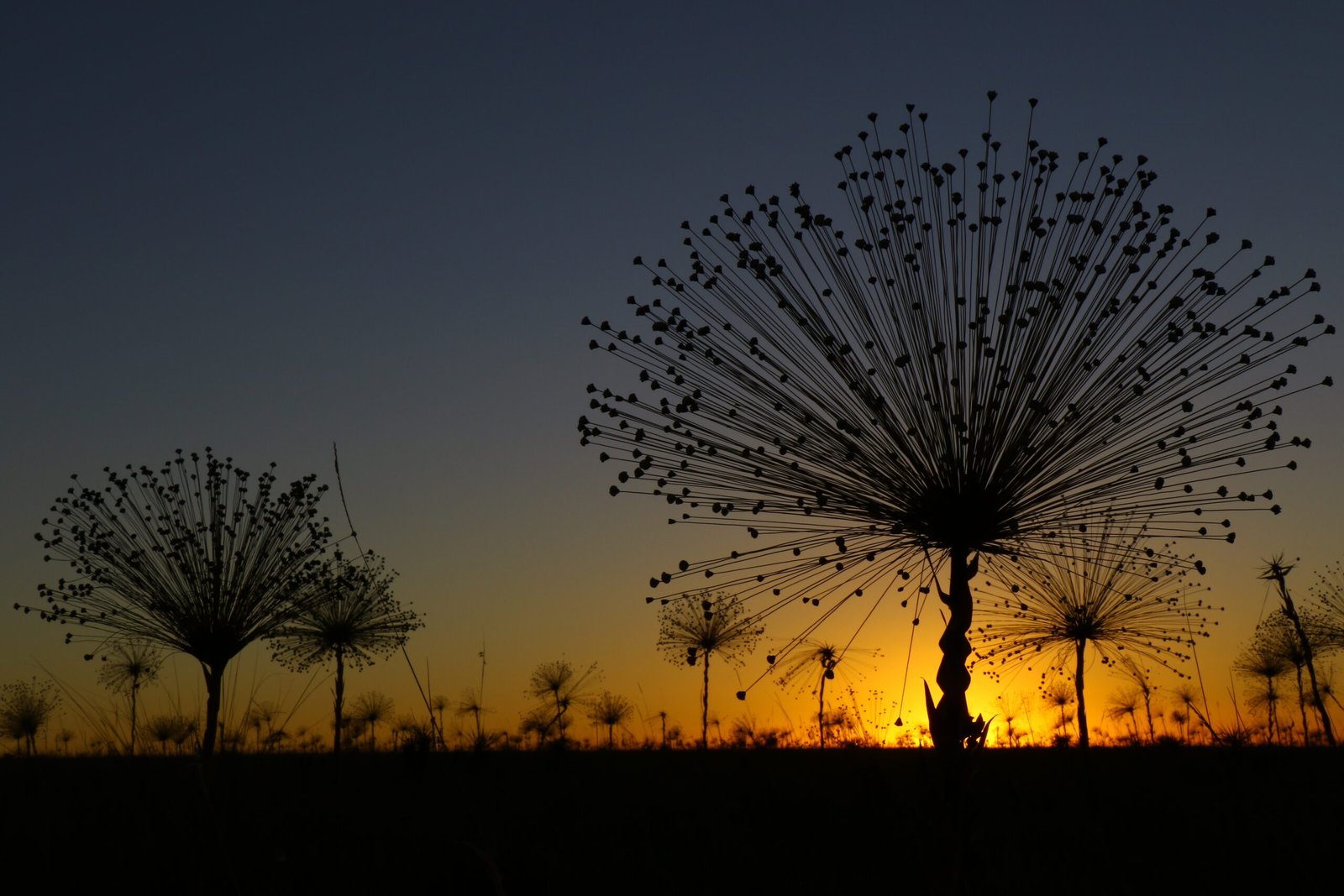 Chapada dos Veadeiros na seca: o que você precisa saber para aproveitar essa estação ao máximo