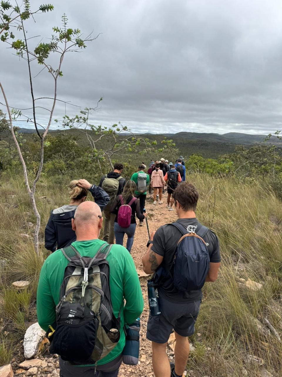 O período de chuvas na Chapada dos Veadeiros: um espetáculo da natureza